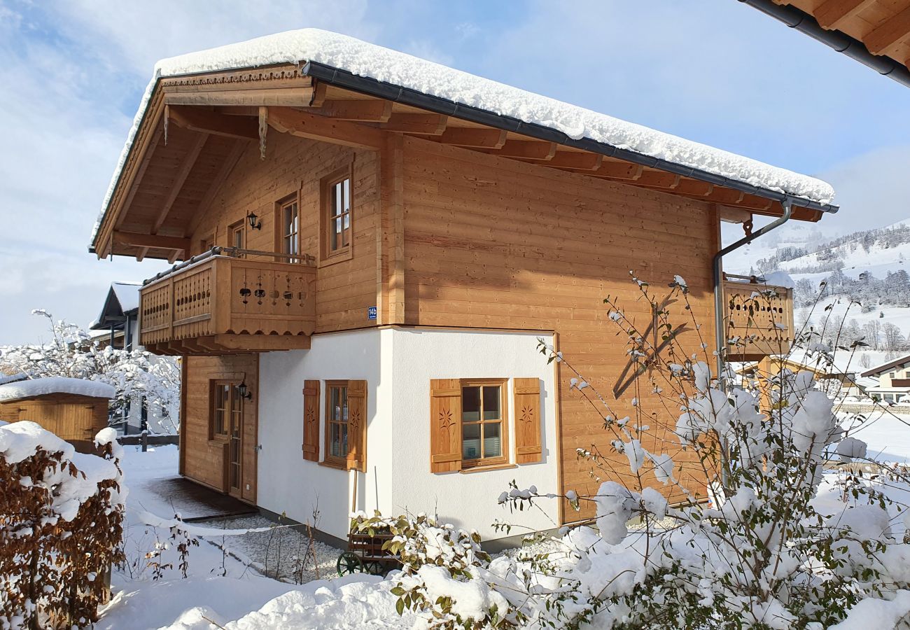 House in Niedernsill - NID - Chalet Tauerngold