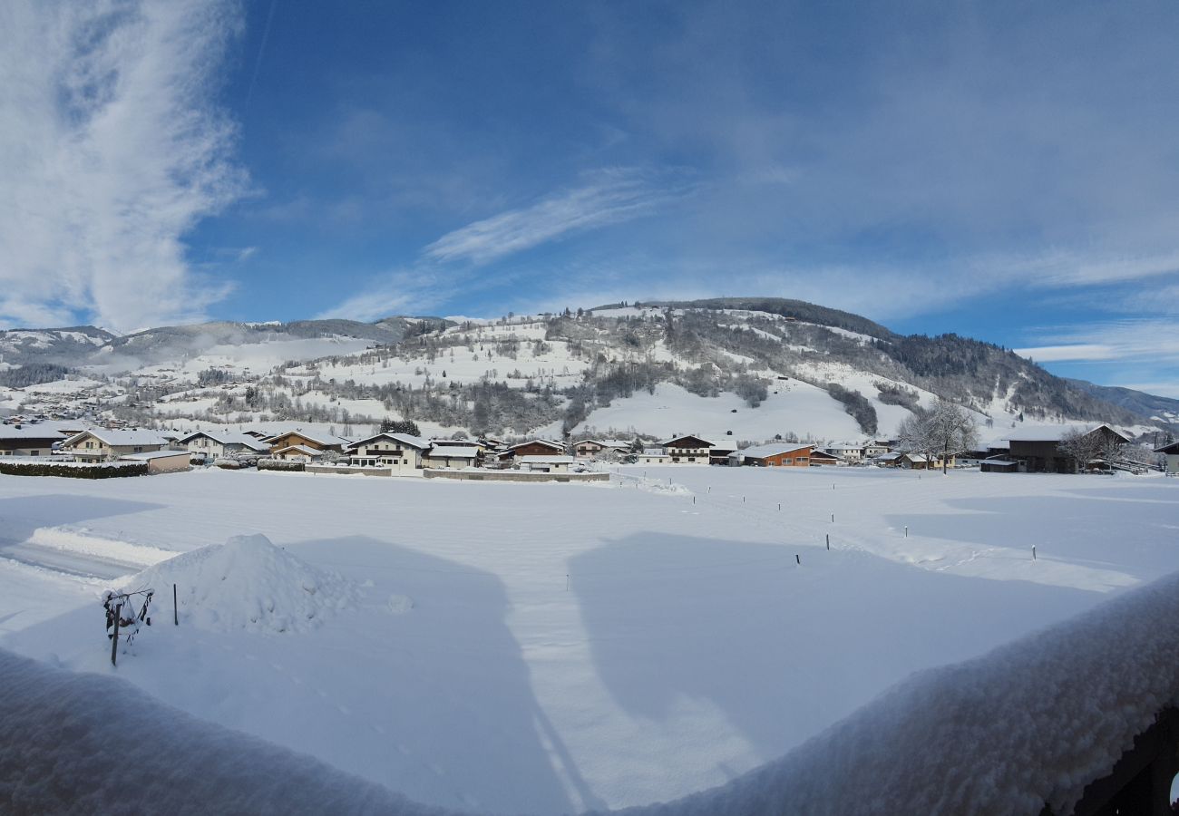 House in Niedernsill - NID - Chalet Tauerngold