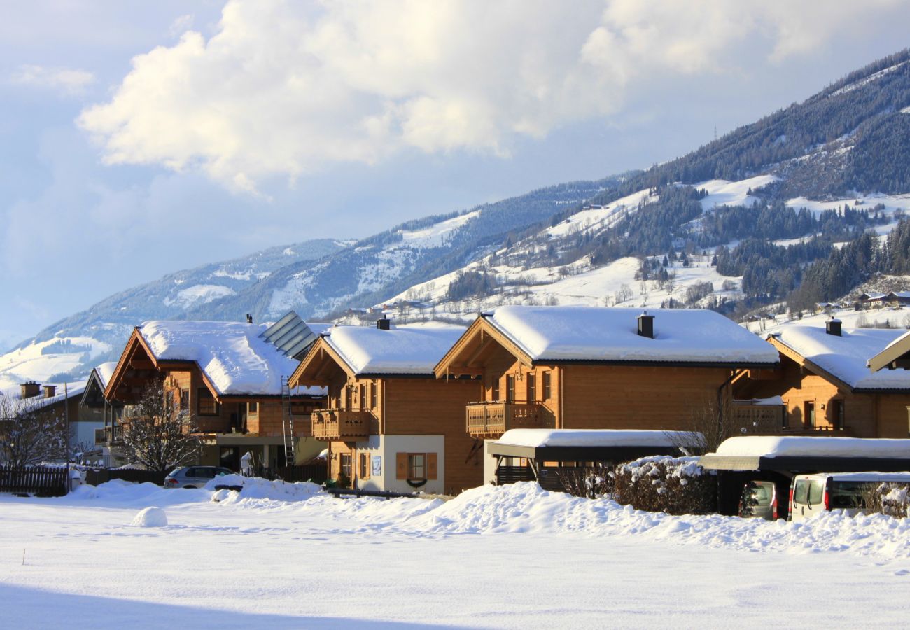 House in Niedernsill - NID - Chalet Salzburg