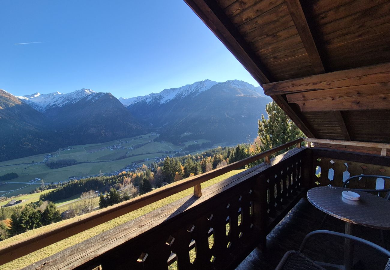 Apartment in Neukirchen am Großvenediger - 7_HGG_Nicki & Angelina