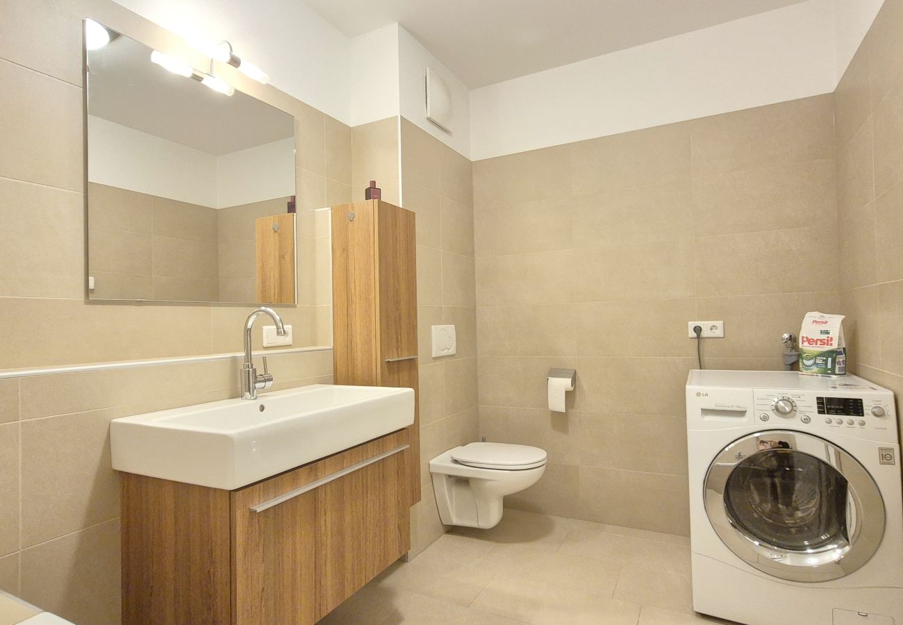 Apartment in Kaprun - 2_KAP-10-KitzNest Kaprun