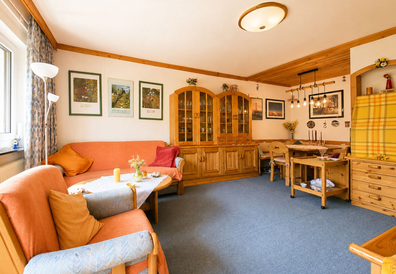Apartment in Zell am See - 4_3 Apartment WildentenNest Zellersee