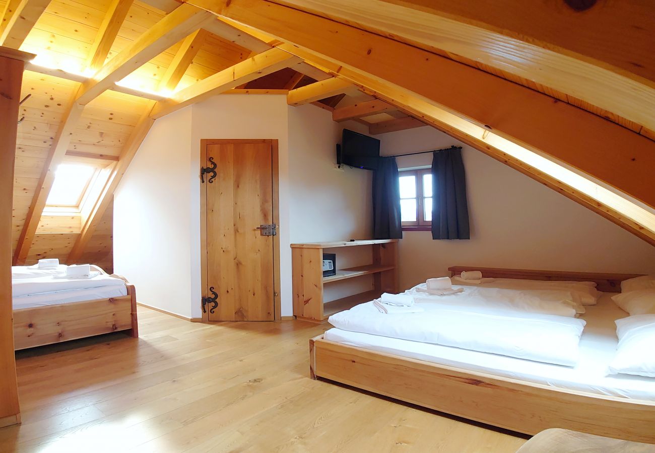 Ferienwohnung in Mariapfarr - ALP - Hochgolling 1  - Loft Apartment