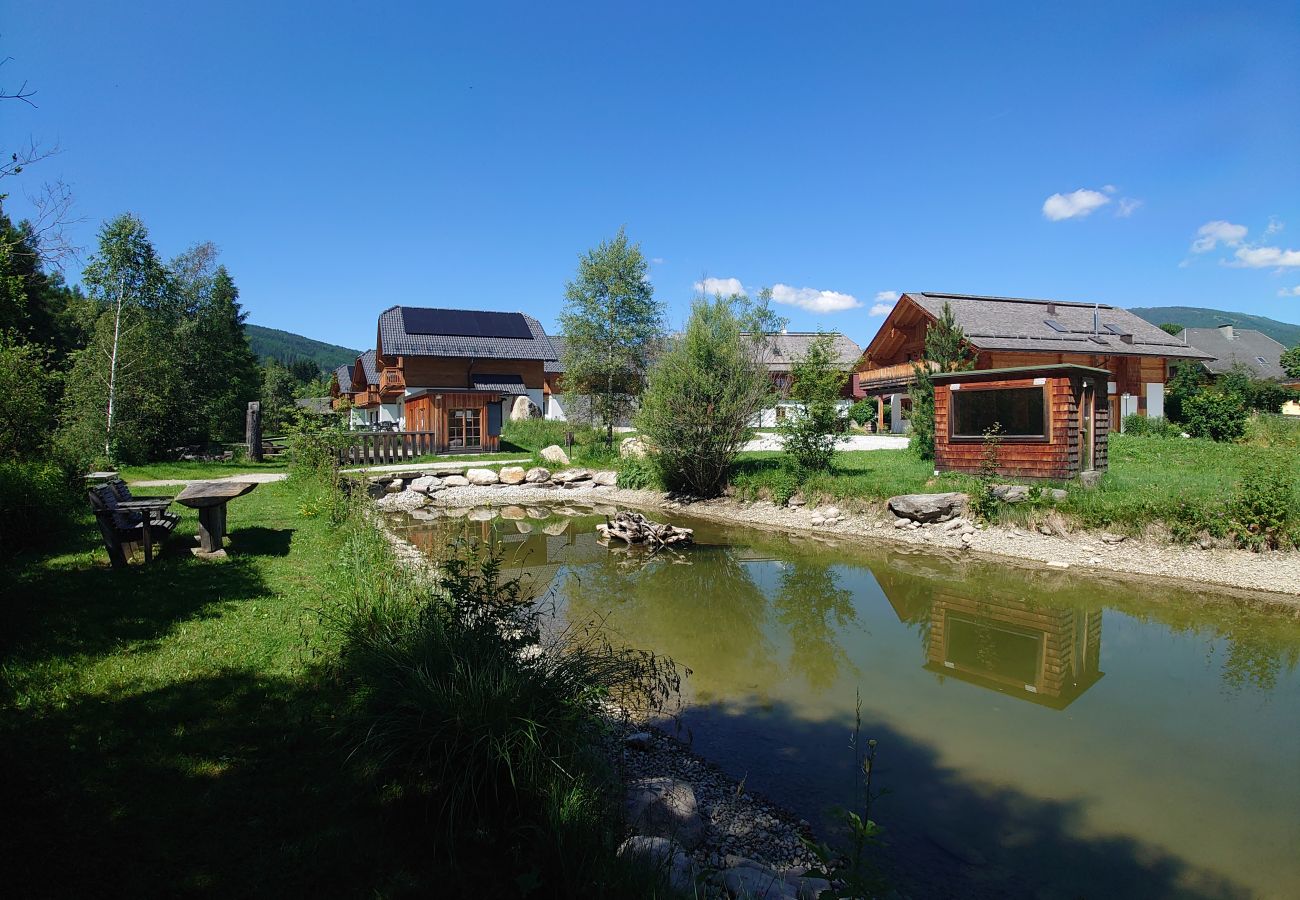 Ferienwohnung in Mariapfarr - ALP - Samspitze 1