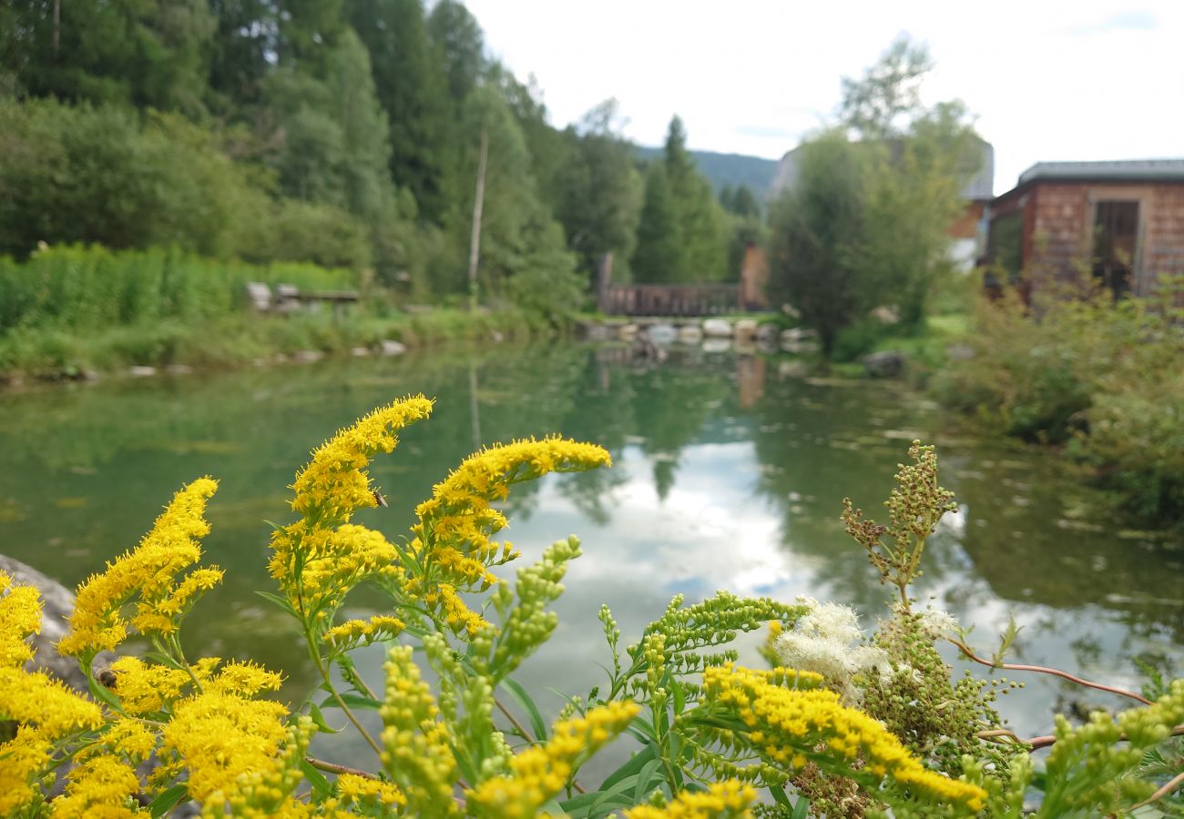 Ferienwohnung in Mariapfarr - ALP - Samspitze 1