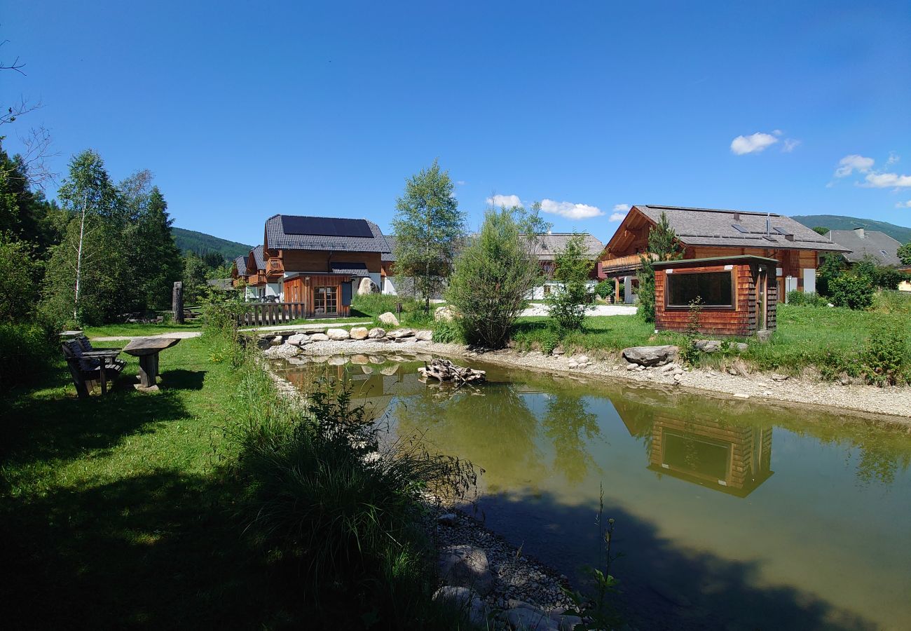 Ferienwohnung in Mariapfarr - ALP - Samspitze 3