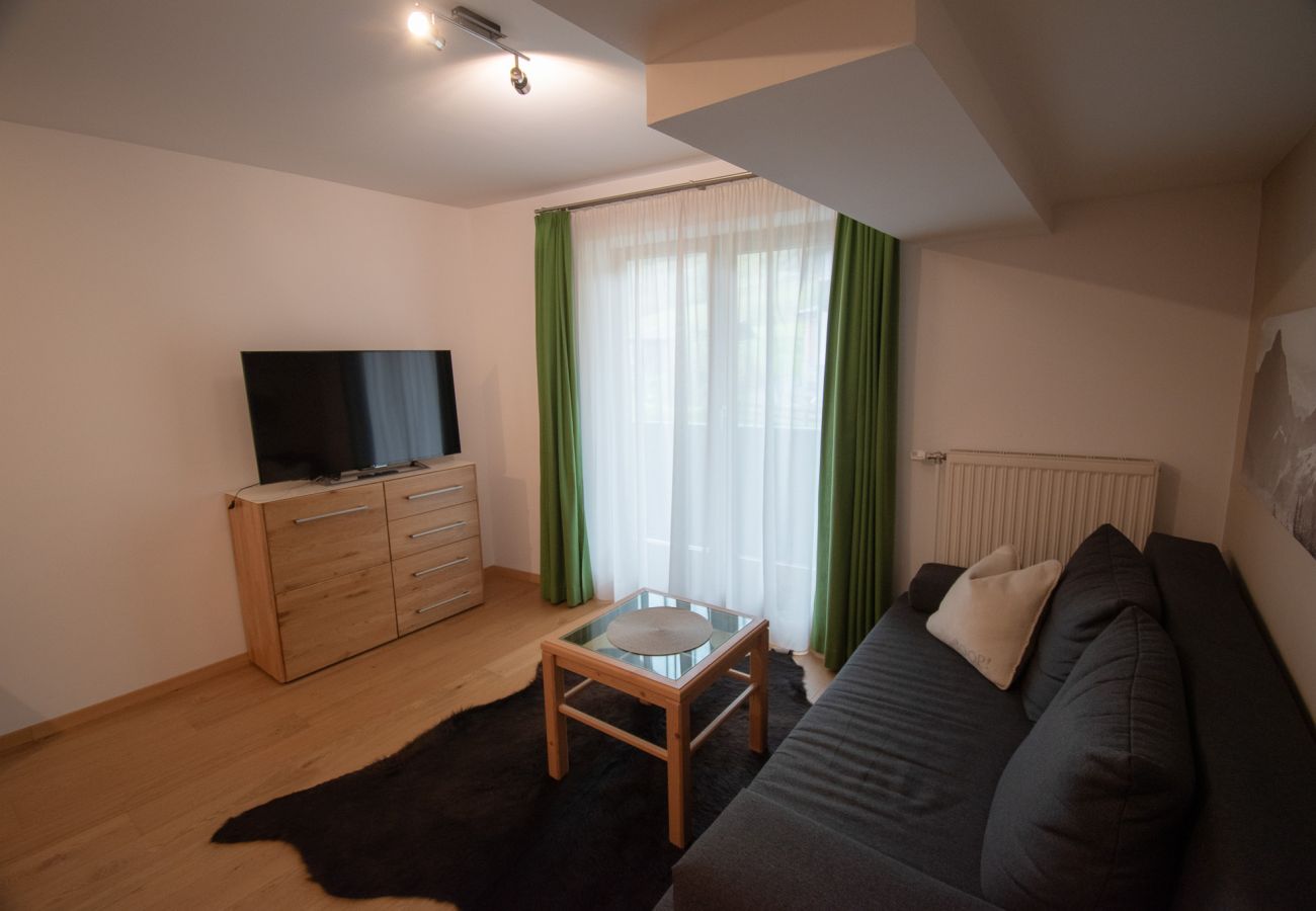 Ferienwohnung in Embach - EMB 5 - Sonnblick