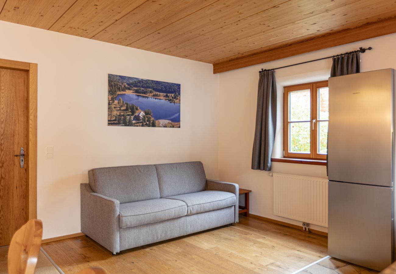 Chalet in Mariapfarr - ALP - Chalet Samspitze 1