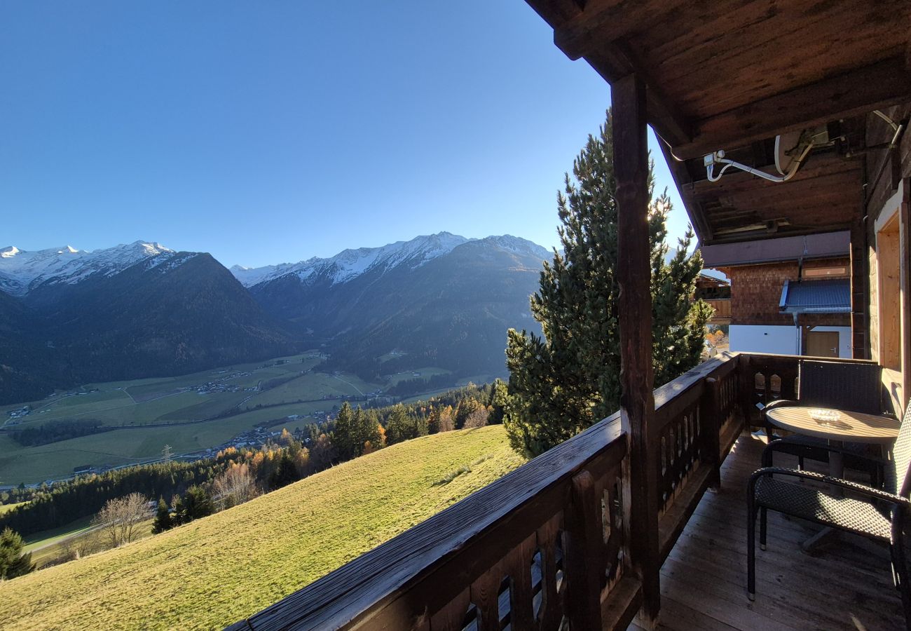 Ferienwohnung in Neukirchen am Großvenediger - 7_HGG_Nicki & Angelina